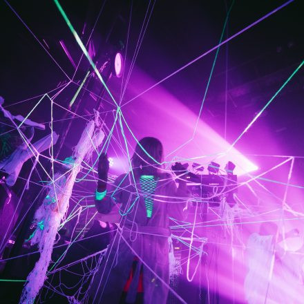 HGich.T + Acid Aftershow