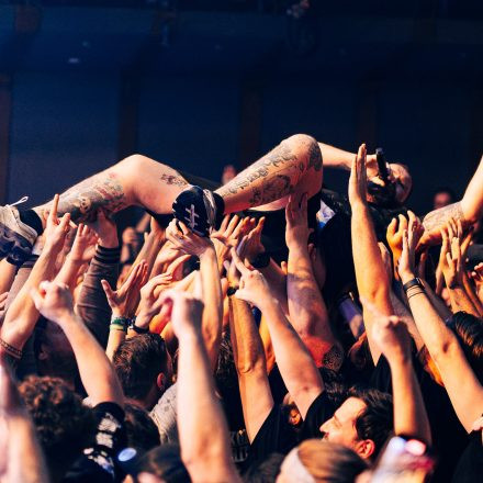 Feine Sahne Fischfilet