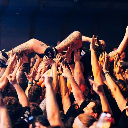 Feine Sahne Fischfilet