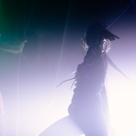 HGich.T + Acid Aftershow