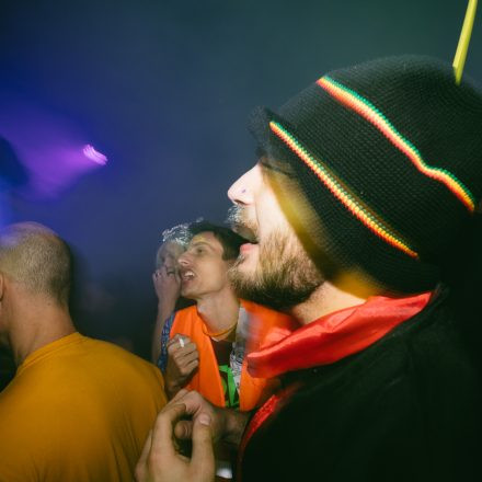 HGich.T + Acid Aftershow