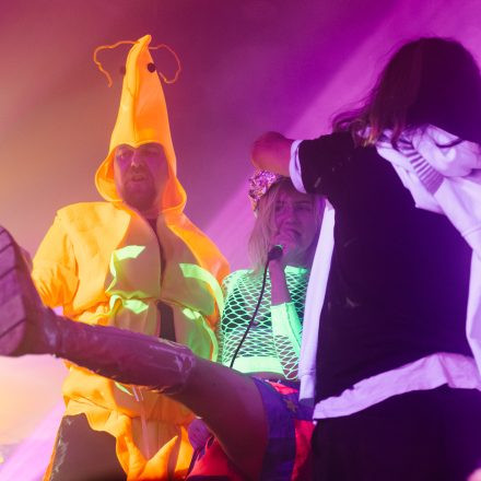 HGich.T + Acid Aftershow