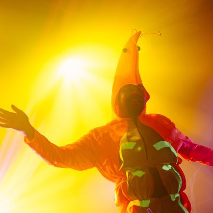 HGich.T + Acid Aftershow