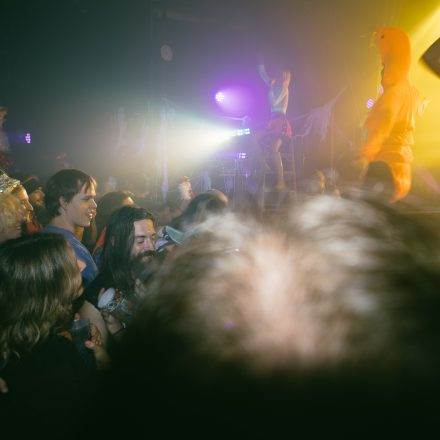 HGich.T + Acid Aftershow