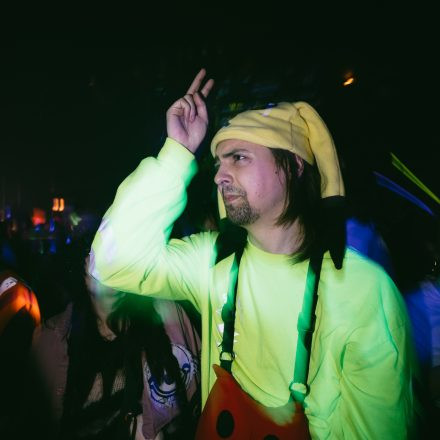 HGich.T + Acid Aftershow