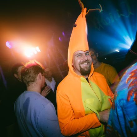 HGich.T + Acid Aftershow