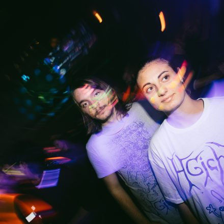 HGich.T + Acid Aftershow