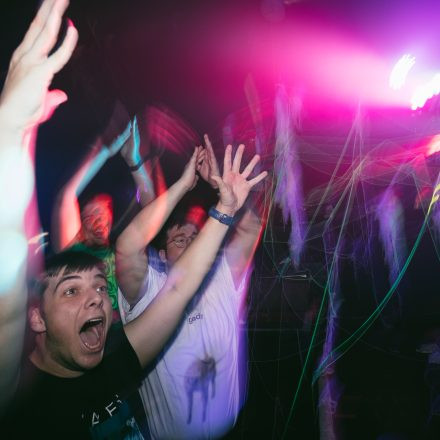 HGich.T + Acid Aftershow