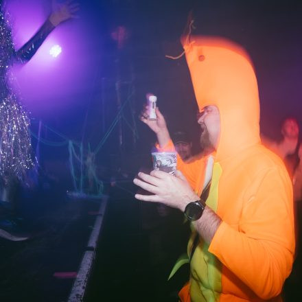 HGich.T + Acid Aftershow