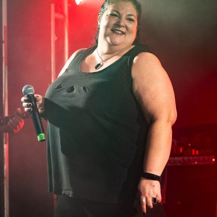 Rock The Night Vol. 14