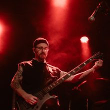 Animals as Leaders