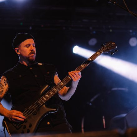 Animals as Leaders