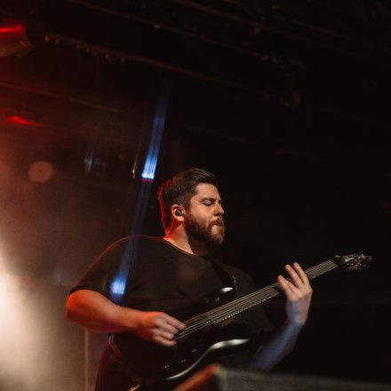 Animals as Leaders