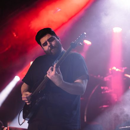 Animals as Leaders