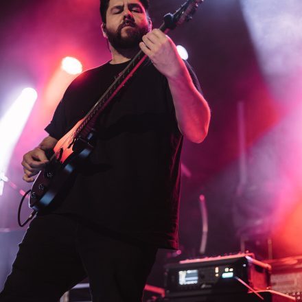 Animals as Leaders