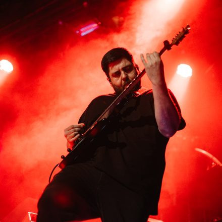 Animals as Leaders