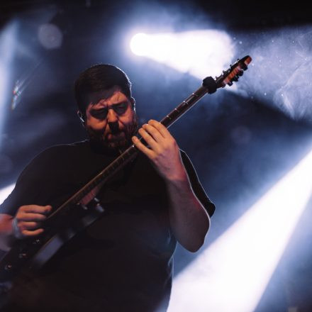 Animals as Leaders
