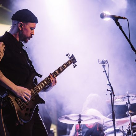 Animals as Leaders