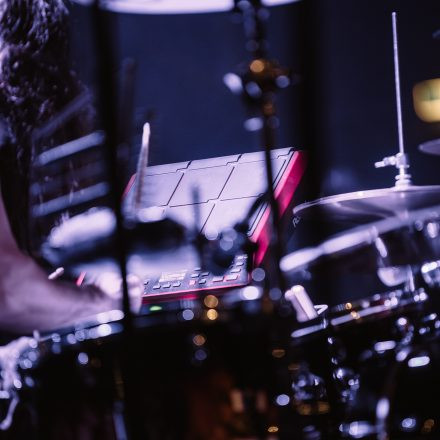Animals as Leaders