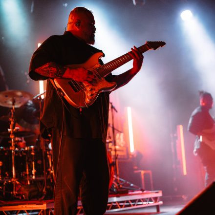 Animals as Leaders