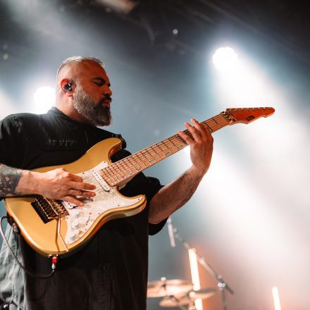 Animals as Leaders