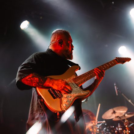 Animals as Leaders