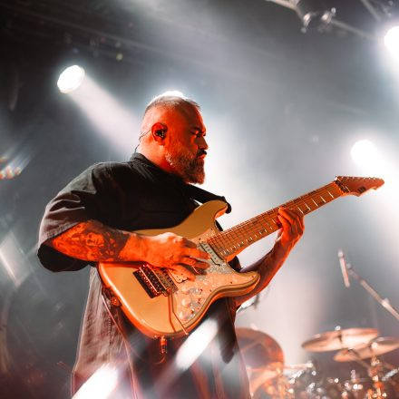 Animals as Leaders