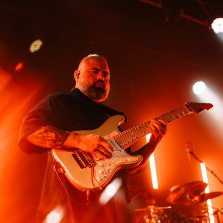 Animals as Leaders