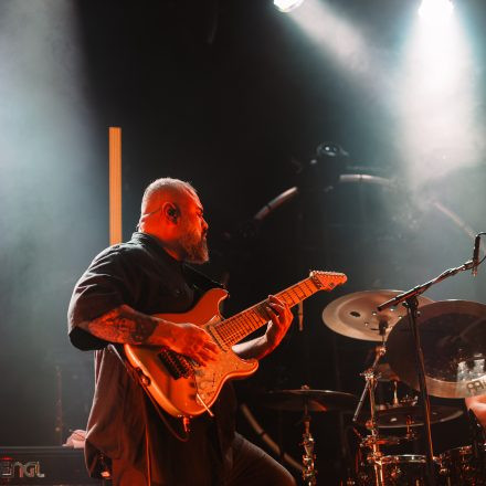 Animals as Leaders