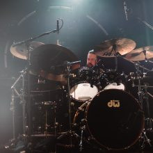 Animals as Leaders