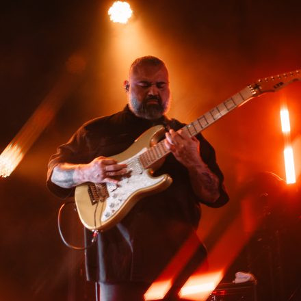 Animals as Leaders