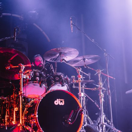 Animals as Leaders
