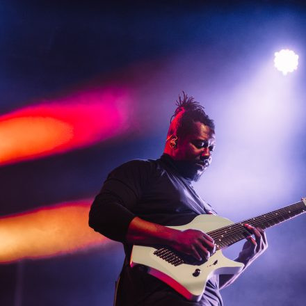 Animals as Leaders