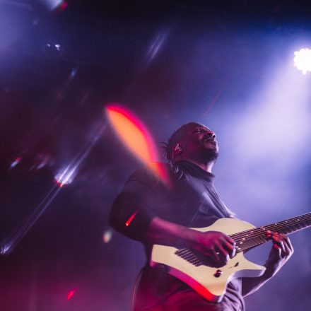 Animals as Leaders