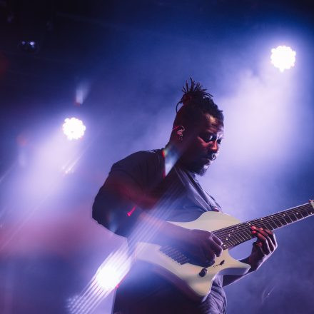 Animals as Leaders