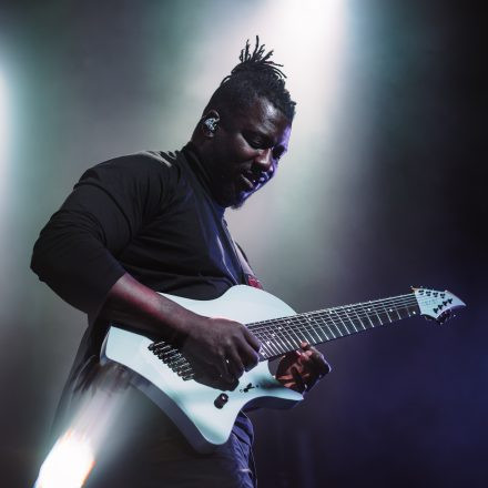 Animals as Leaders