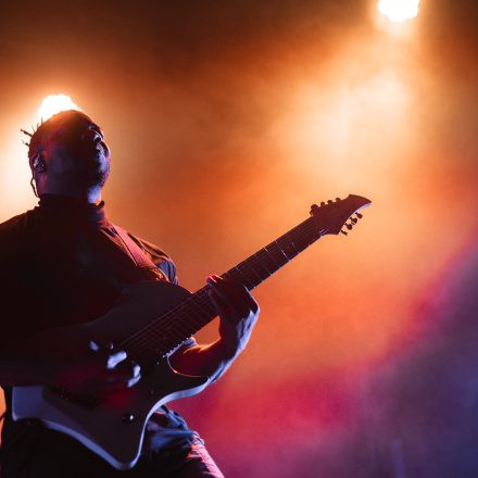 Animals as Leaders