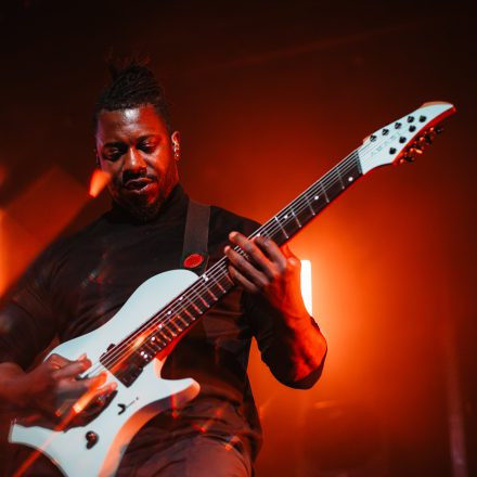 Animals as Leaders