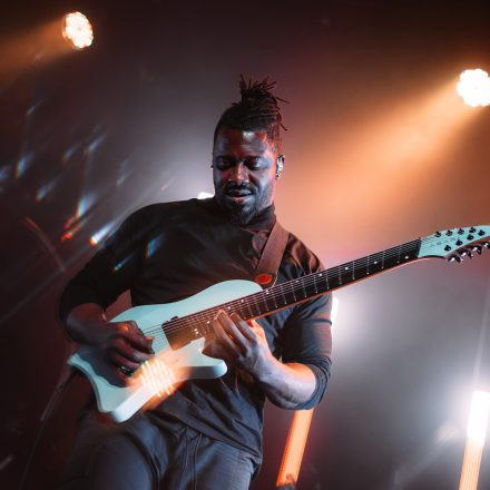 Animals as Leaders