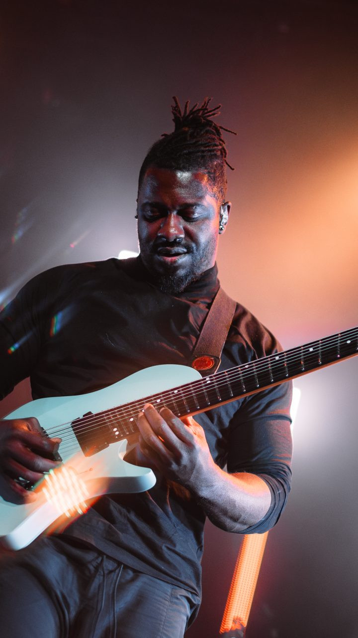 Animals as Leaders