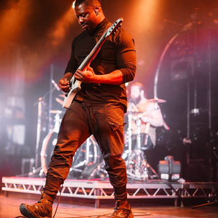 Animals as Leaders