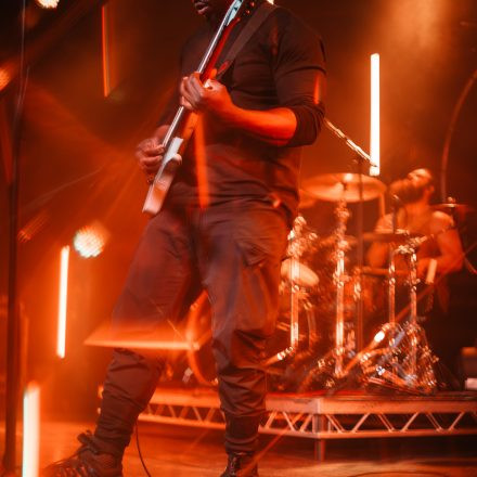 Animals as Leaders