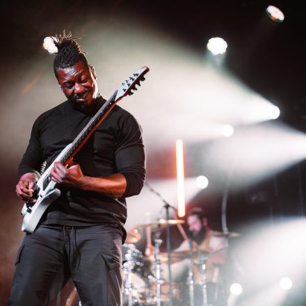 Animals as Leaders