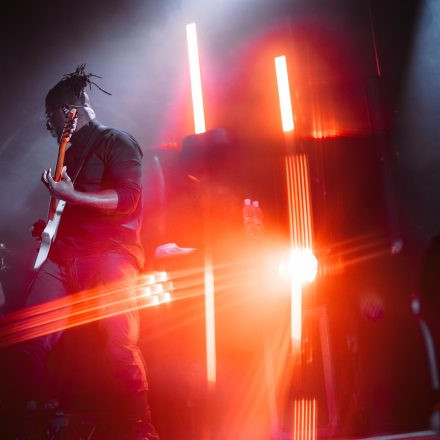Animals as Leaders