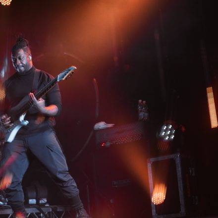 Animals as Leaders