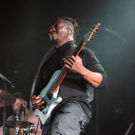 Animals as Leaders