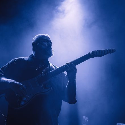 Animals as Leaders