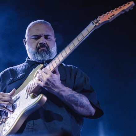 Animals as Leaders