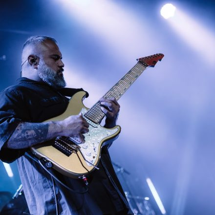 Animals as Leaders