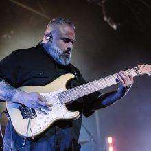 Animals as Leaders